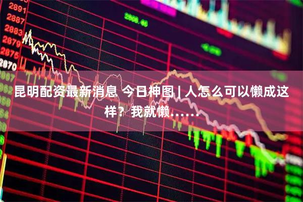 昆明配资最新消息 今日神图 | 人怎么可以懒成这样？我就懒……