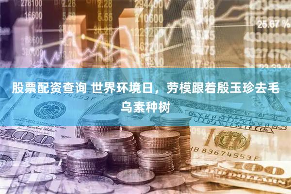 股票配资查询 世界环境日，劳模跟着殷玉珍去毛乌素种树